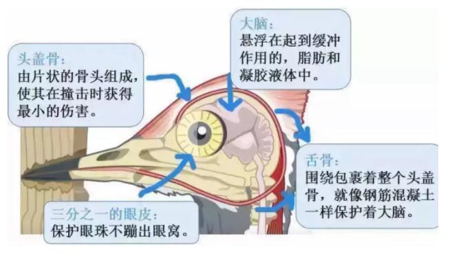 昆明安全帽，安全買(mǎi)冷知識你知道嗎？